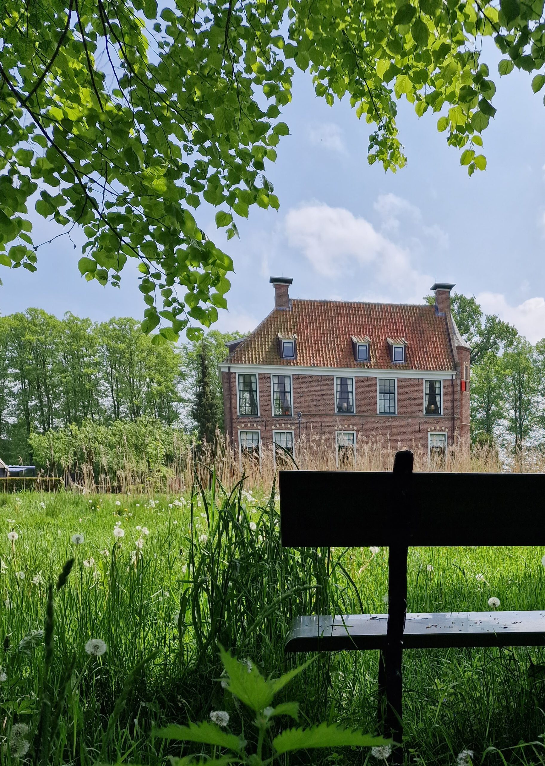 Burcht Wedde Het Mooiste Plekje Van Westerwolde