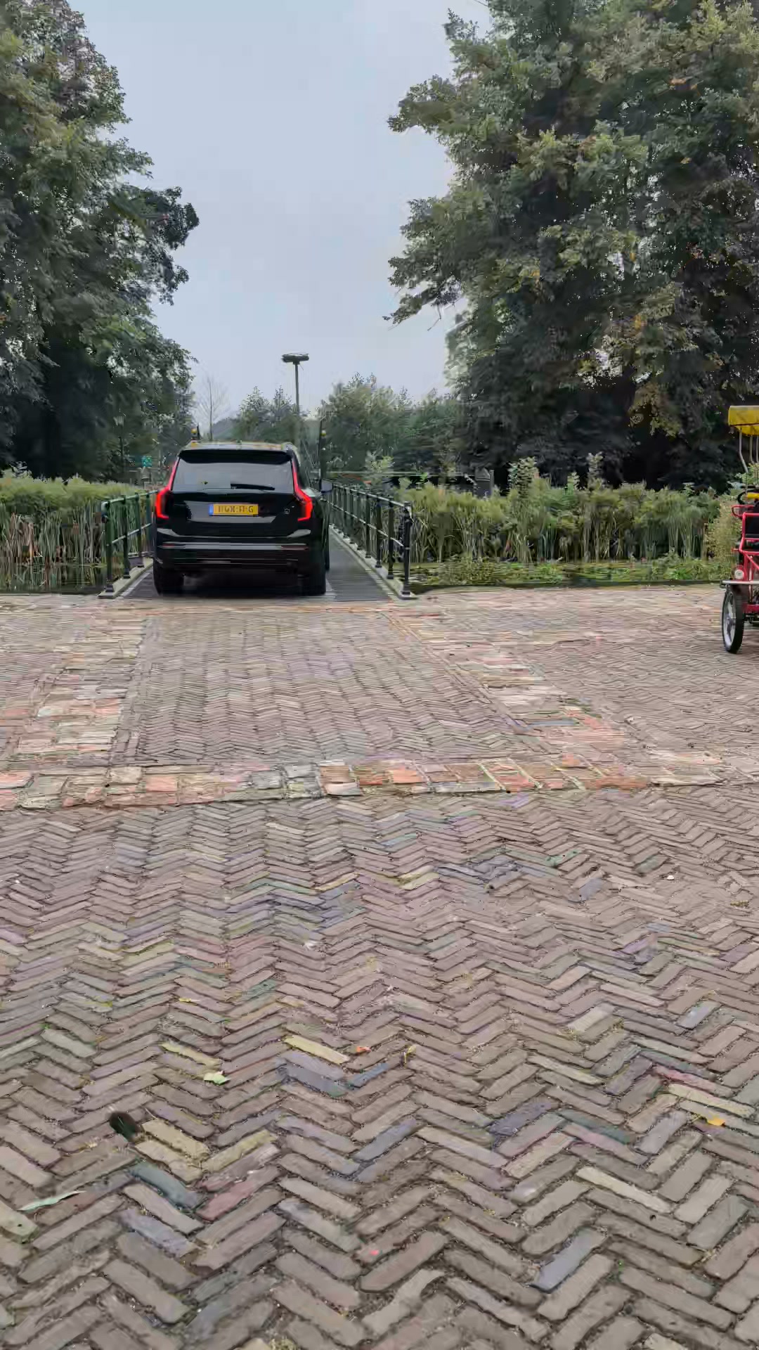 Burcht Wedde