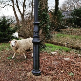 Onverwachtse visite op de Burcht! 🐑😄#burcht #burchtwedde #westerwolde #groningen #grunn #mooiplaatje #mooiplekje #kinderhotel #borg #wedderborg #addingaborg #kasteel #vvv #ridders #ergaatnietsbovengroningen #castle #chateau #castle #schloss #schönerort #nicespot #visitgroningen #westerwoldepad #wandelroute #natuur #westerwoldseaa 
#dagjemeemetkj